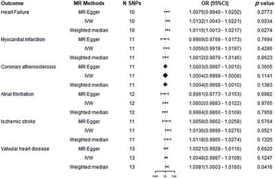 Association of ankylosing spondylitis with cardiovascular disease: a bidirectional two-sample mendelian randomization study